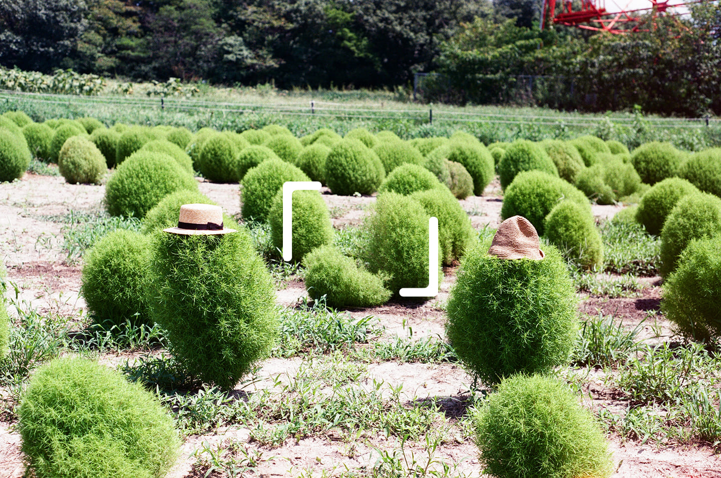 Homeファーストビュー