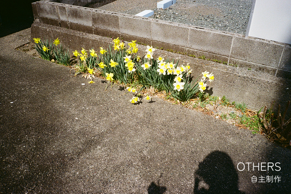 OTHERSリンクボタン