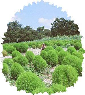 プロフィール写真