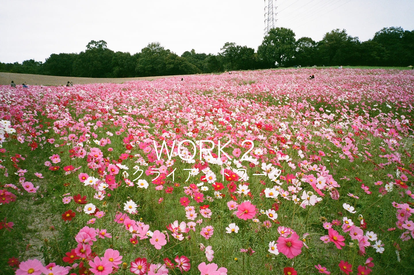 Work2ファーストビュー